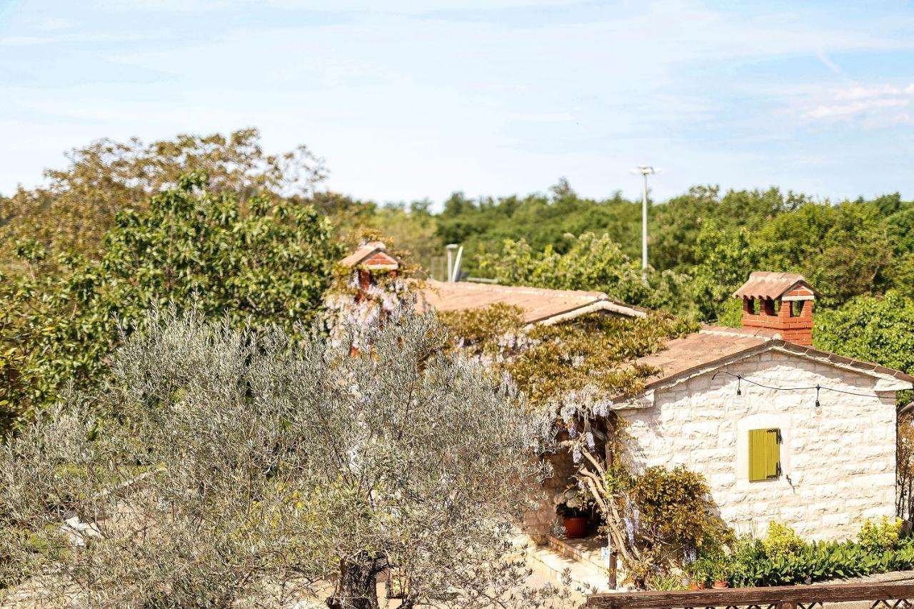 קאנפאנאר Casa Rustica Dva Baladura Apartments מראה חיצוני תמונה
